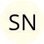 Samin Norouzi